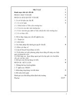 SKKN  nâng cao hiệu quả sử dụng thư viện ở trường PTDT nội trú THCS và THPT bắc hà 