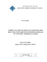 Nghiên cứu một số nhân tố ảnh hưởng đến khả năng tổng hợp ectinmethylesterase từ nấm mốc aspergillus niger