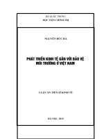 Phát triển kinh tế gắn với bảo vệ môi trường ở Việt nam