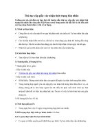 Thủ tục cấp giấy xác nhận tình trạng hôn nhân