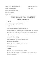 GIÁO án SINH 10 bài Tế bào nhân sơ