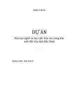 Bài tập quản lý dự án  Đào tạo nghề và tạo việc làm cho nông dân mất đất của tỉnh bắc ninh