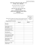 Mẫu đơn xin nhận trẻ em Việt Nam làm con nuôi