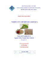 Nghiên cứu chế biến dưa khổ qua
