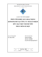 Phân tích  hiệu quả  hoạt động kinh doanh  ở công ty trách nhiệm hữu hạn một thành viên phần mềm số một