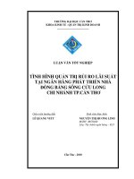 Tình hình quản trị rủi ro lãi suất tại ngân hàng phát triển nhà đồng bằng sông cửu long chi nhánh cần thơ