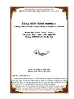 SKKN  phương pháp giải một số dạng bài tập di truyền học quần thể 