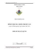 Hình tượng mưa trong thơ huy cận