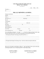 Mẫu phụ lục hợp đồng lao động