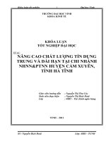 Nâng cao chất lượng tín dụng trung và dài hạn tại chi nhánh ngân hàng nông nghiệp và phát triển nông thôn huyện cẩm xuyê