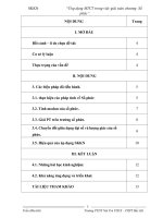 SKKN ứng dụng MTCT trong việc giải toán chương số phức 