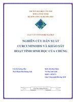 Nghiên cứu dẫn xuất curcuminoids và khảo sát hoạt tính sinh học của chúng