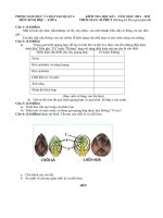 Đề thi học kì i môn sinh học 6 quận 6 thành phố hồ chí minh năm học 2014   2015(có đáp án)