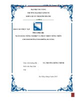 báo cáo thực tập ngân hàng nông nghiệp và phát triển nông thôn chi nhánh ông ích khiêm đà nẵng