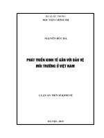 Phát triển kinh tế gắn với bảo vệ môi trường ở Việt nam