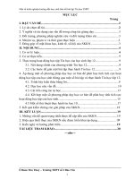 SKKN  một số kinh nghiệm hướng dẫn học sinh làm tốt bài tập tin học THPT 