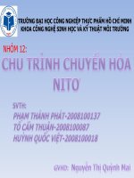 CHU TRÌNH CHUYỂN HÓA NITƠ