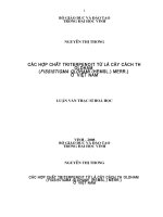 Các hợp chất triterpenoit từ lá cây cách thư oldham (fissistigma oldhami (hemsl ) merr ) ở việt nam