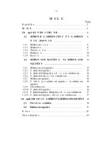 Chiều đều của môđun và môđun con nguyên tố  luận văn thạc sĩ toán học