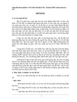 SKKN  sử dụng bản đồ tư duy trong dạy học địa lý 