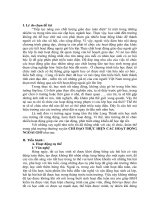 skkn  CHỈ đạo THỰC HIỆN các HOẠT ĐỘNG NGOÀI GIỜ