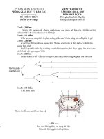 Đề thi học kì i môn sinh học 6 quận 3 thành phố hồ chí minh năm học 2014   2015(có đáp án)