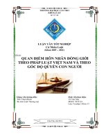 Quan điểm hôn nhân đồng giới theo pháp luật việt nam và theo góc độ quyền con người