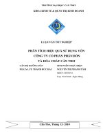 Phân tích hiệu quả sử dụng vốn công ty cổ phần phân bón và hóa chất cần thơ