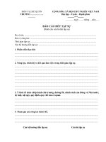 Mẫu Báo cáo kết quả tập sự