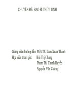 CHUYÊN ĐỀ: BAO BÌ THỦY TINH