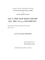 TẠO và TINH SẠCH KHÁNG THỂ THỎ ĐẶC HIỆU FcγNGƯỜI CỘNG HỢP FITC