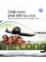 Chiến lược phát triển lưu vực sông mê công