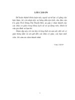 Phong trào yêu nước và cách mạng ở nghệ an trong những năm 20 của thế kỷ XX