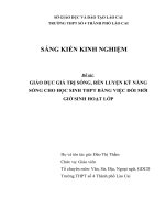 SKKN giáo dục giá trị sống và rèn luyện kĩ năng sống cho học sinh THPT bằng việc đối mới giờ sinh hoạt