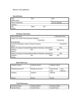 Mẫu đơn xin cấp tín dụng - Business Credit Application