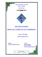 Thu hồi glixerin trong quá trình sản xuất biodiesel
