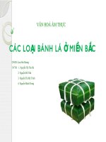 CÁC LOẠI BÁNH LÁ MIỀN BẮC