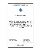Phân tích tốc độ tăng trưởng và giải pháp kích thích nhu cầu sử dụng các tiện ích của thẻ thanh toán techcombank tại cần