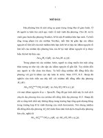 Tính dịch chuyển địa phương hóa của môđun đối đồng điều địa phương  luận văn thạc sĩ toán học