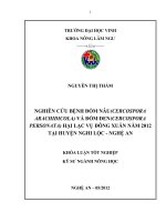 Nghiên cứu bệnh đốm nâu (cercospora arachidicola) và đốm đen (cercospora personata) hại lạc vụ đông xuân năm 2012 tại hu