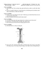 Đề thi học kì i môn sinh học 8 quận 6 thành phố hồ chí minh năm học 2014   2015(có đáp án)
