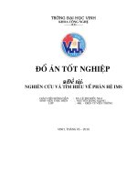 Nghiên cứu và tìm hiểu về phân hệ IMS 