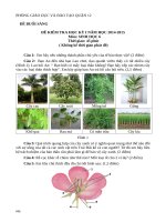 Đề kiểm tra học kì i môn sinh học 6 quận 12 thành phố hồ chí minh năm học 2014   2015(có đáp án)