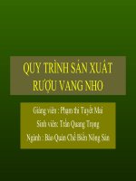 QUY TRÌNH SẢN XUẤT RƯỢU VANG NHO