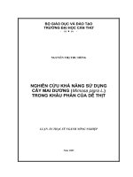 nghiên cứu khả năng sử dụng cây mai dương (mimosa pigra l ) trong khẩu phần của dê thịt