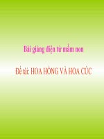 Bài giảng điện tử đề tài Hoa hồng và hoa cúc