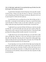 Bình luận ý nghĩa kinh tế của tỷ giá đặc biệt trong nền kinh tế mở, liên hệ tới tỷ giá ở việt nam qua các thời kỳ