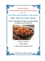 TÌM HIỂU VỀ PHỤ GIA GUM ARABIC ,GUAR GUM, GUM GHATTI