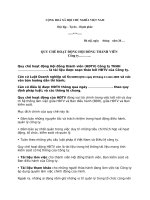 Mẫu Quy chế hoạt động của Hội đồng thành viên công ty TNHH