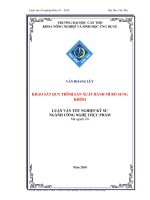 Khảo sát quy trình sản xuất bánh mì bổ sung khóm